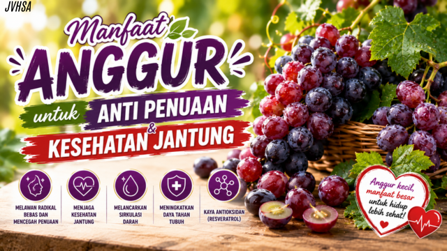 Manfaat Anggur untuk Anti Penuaan dan Kesehatan Jantung