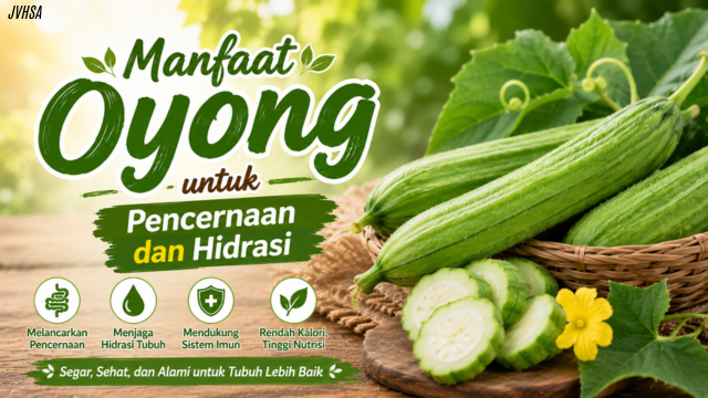 Manfaat Oyong untuk Pencernaan dan Hidrasi