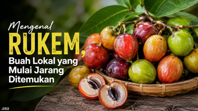 Mengenal Rukem , Buah Lokal yang Mulai Jarang Ditemukan