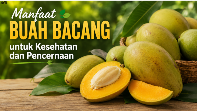 Manfaat Buah Bacang untuk Kesehatan dan Pencernaan
