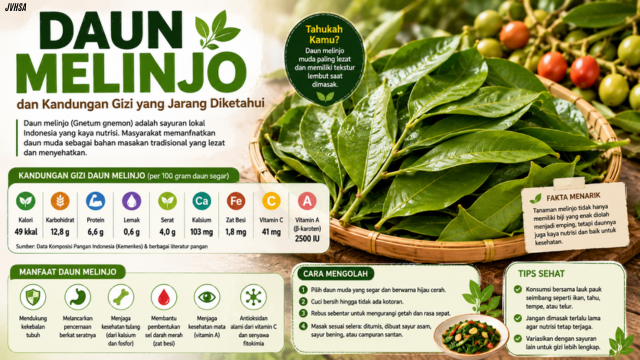 Daun Melinjo dan Kandungan Gizi yang Jarang Diketahui