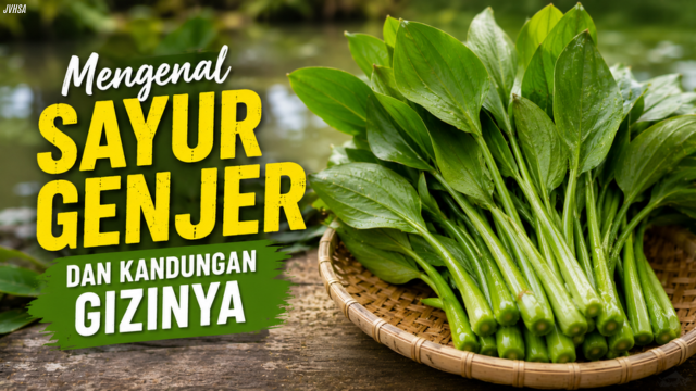 Mengenal Sayur Genjer dan Kandungan Gizinya