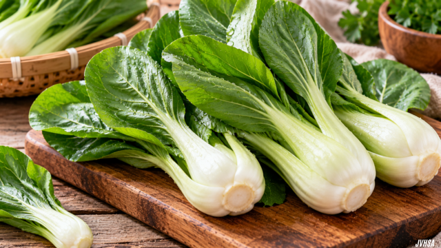 Manfaat Sayur Pakcoy untuk Memenuhi Nutrisi Harian