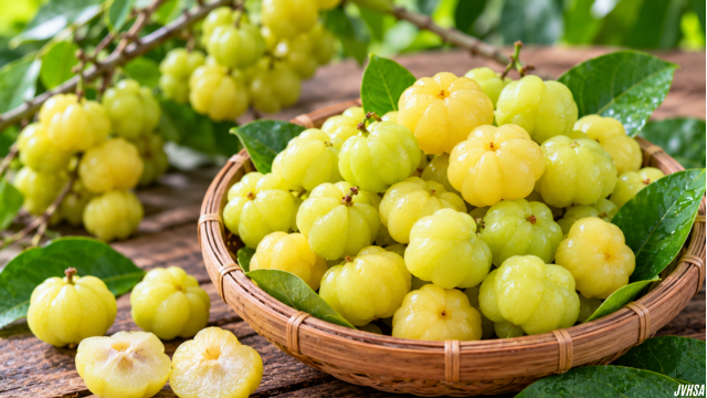 Mengenal Manfaat Buah Cermai dalam Pola Makan Sehat
